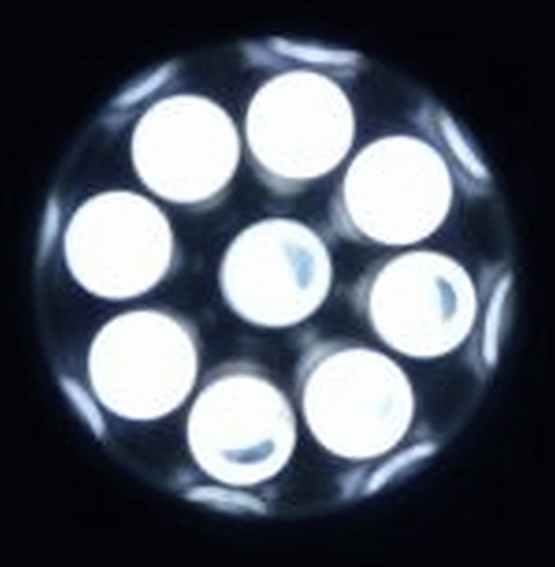 The 9 LED lightbulbs from a flashlight.
